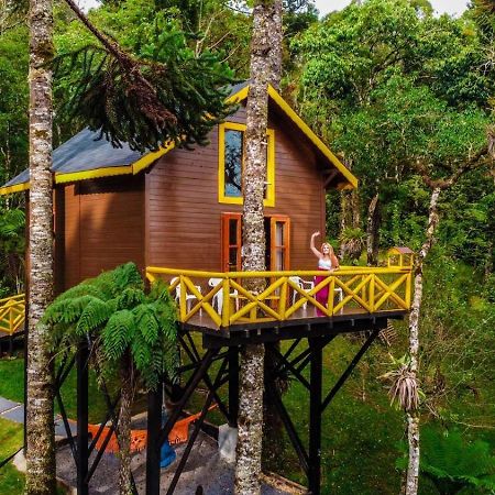 Pousada Paraiso Das Araucarias Hotel Monte Verde  Luaran gambar