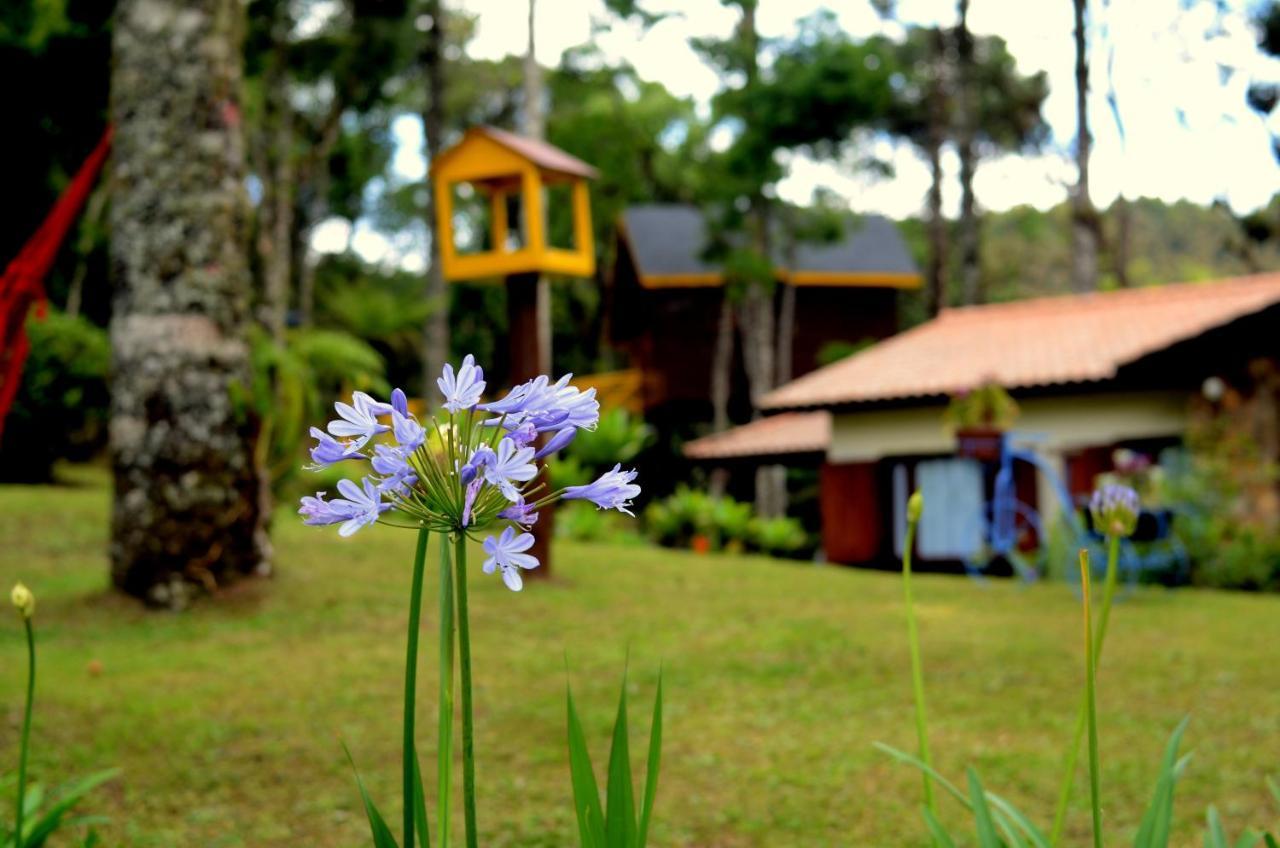 Pousada Paraiso Das Araucarias Hotel Monte Verde  Luaran gambar