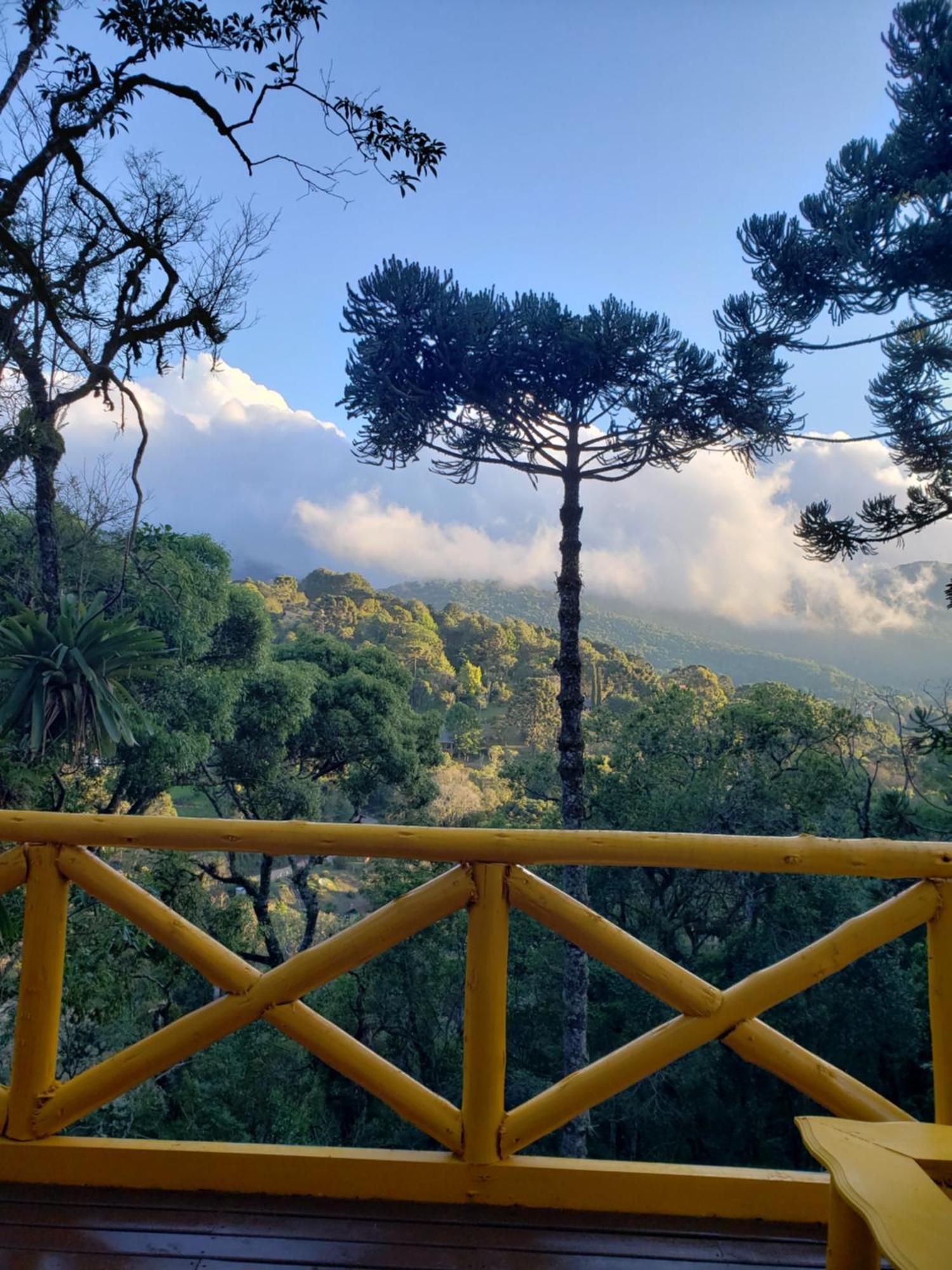 Pousada Paraiso Das Araucarias Hotel Monte Verde  Luaran gambar